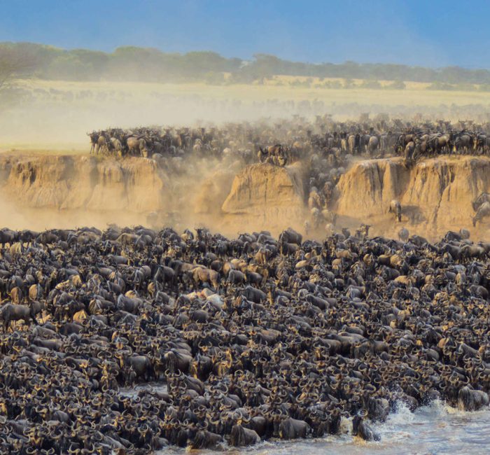 greatmigration